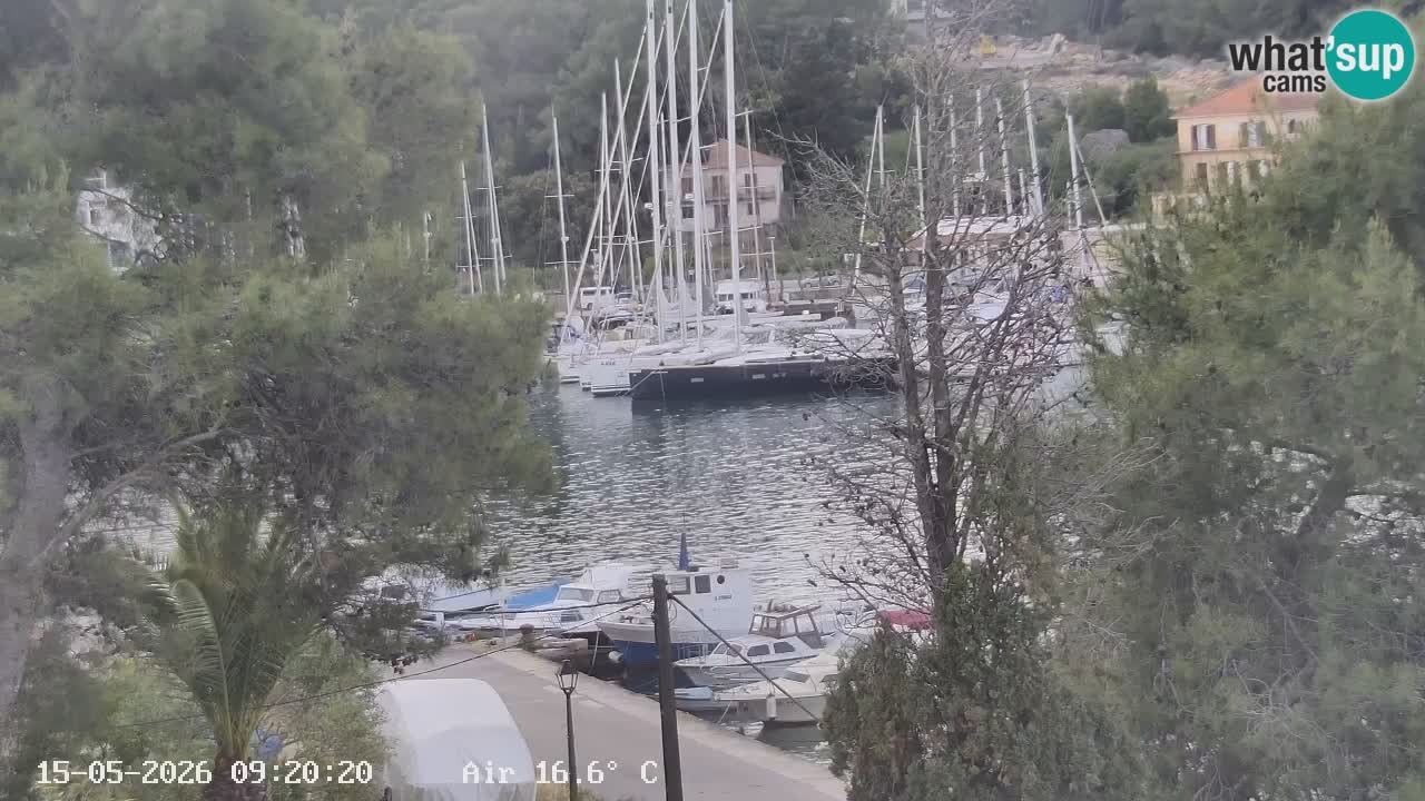 Livecam Hvar Vrboska marina | Île de Hvar | Dalmatia
