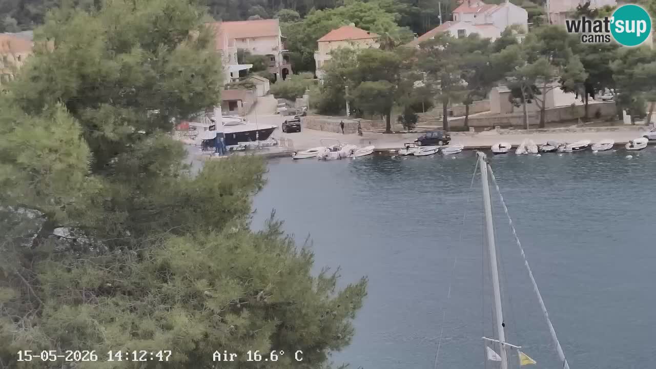Livecam Hvar Vrboska marina | Île de Hvar | Dalmatia