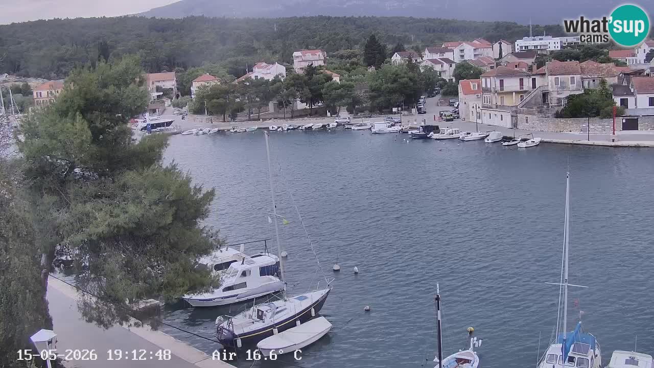 Livecam Hvar Vrboska marina | Île de Hvar | Dalmatia