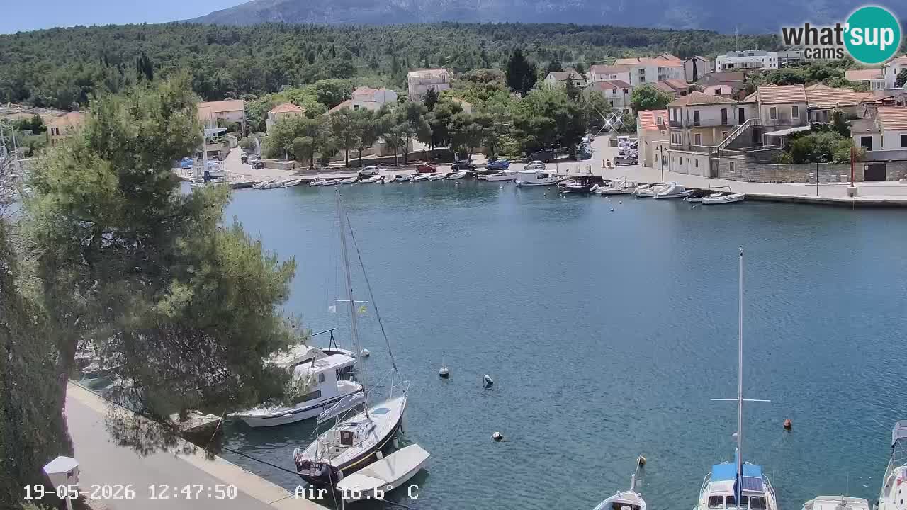 Livecam Vrboska marina | Hvar island | Dalmatia