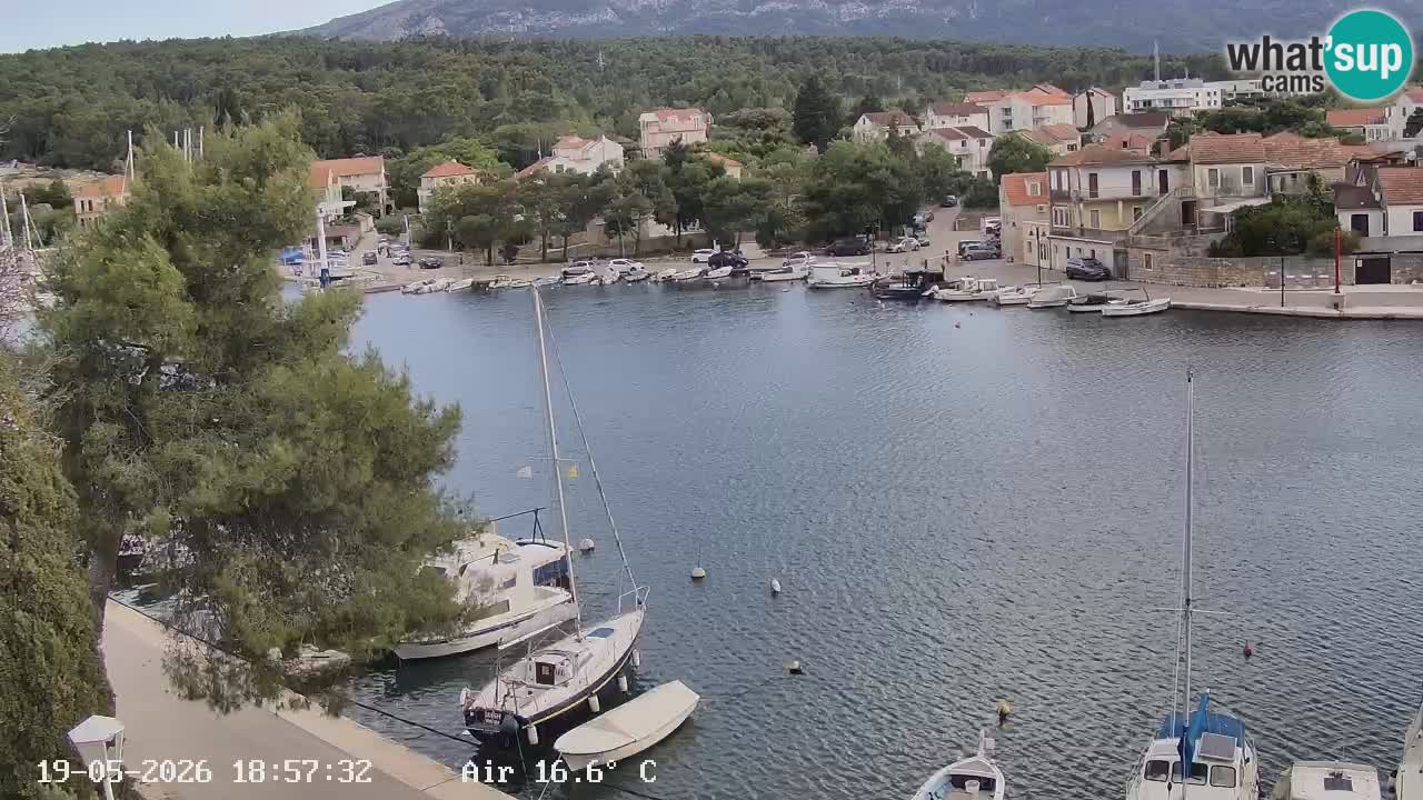 Livecam Hvar Vrboska marina | Île de Hvar | Dalmatia