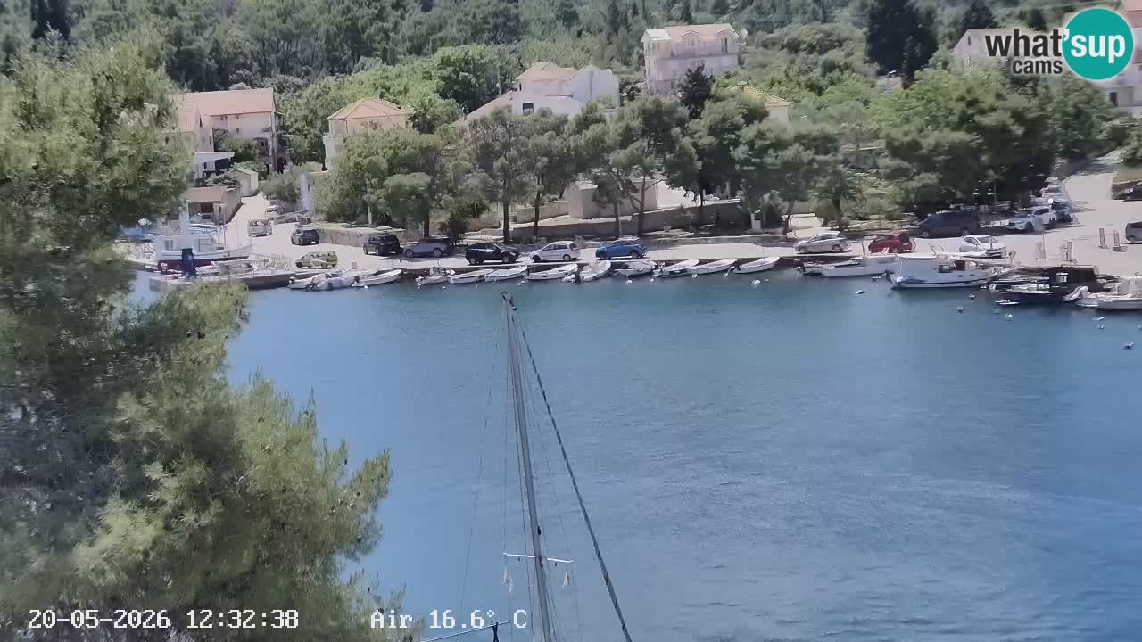 Camera Hvar Vrboska marina | isla de Hvar | Dalmacia