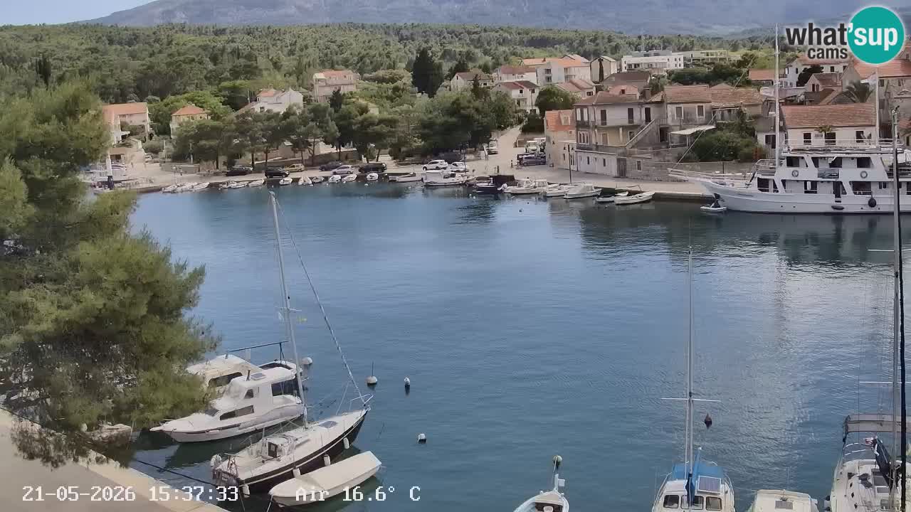 Camera Hvar Vrboska marina | isla de Hvar | Dalmacia