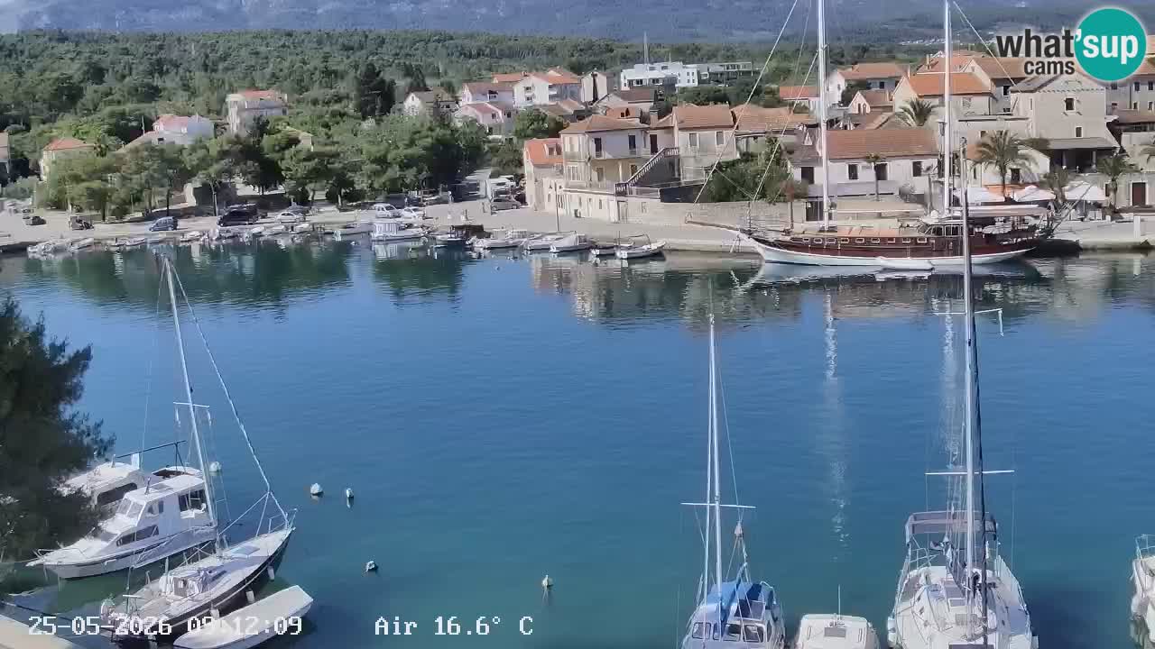 Livecam Hvar Vrboska marina | Île de Hvar | Dalmatia
