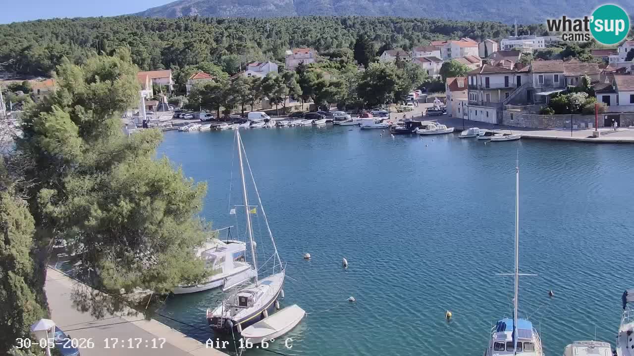 Camera Hvar Vrboska marina | isla de Hvar | Dalmacia