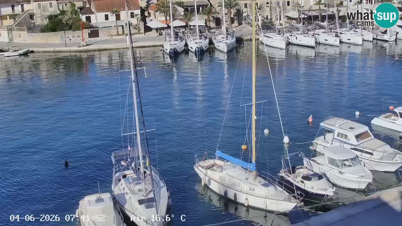 Livecam Vrboska marina | Hvar island | Dalmatia