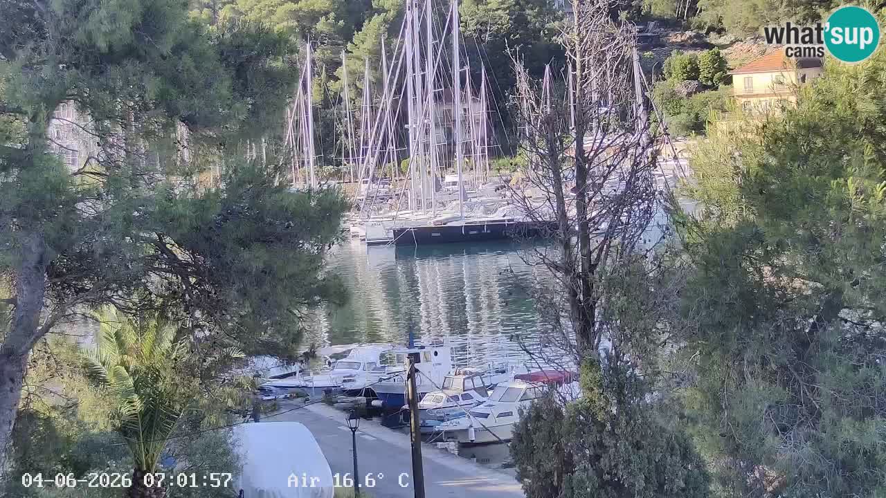 Livecam Hvar Vrboska marina | Île de Hvar | Dalmatia