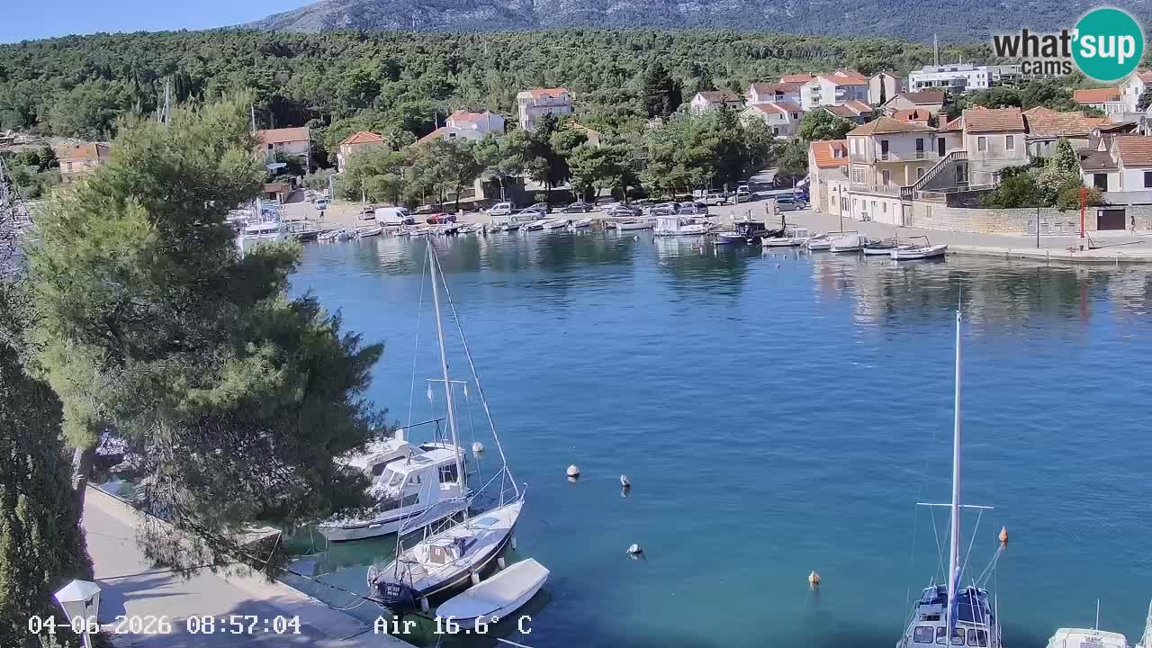 Kamera Hvar Vrboska marina | | Dalmacija