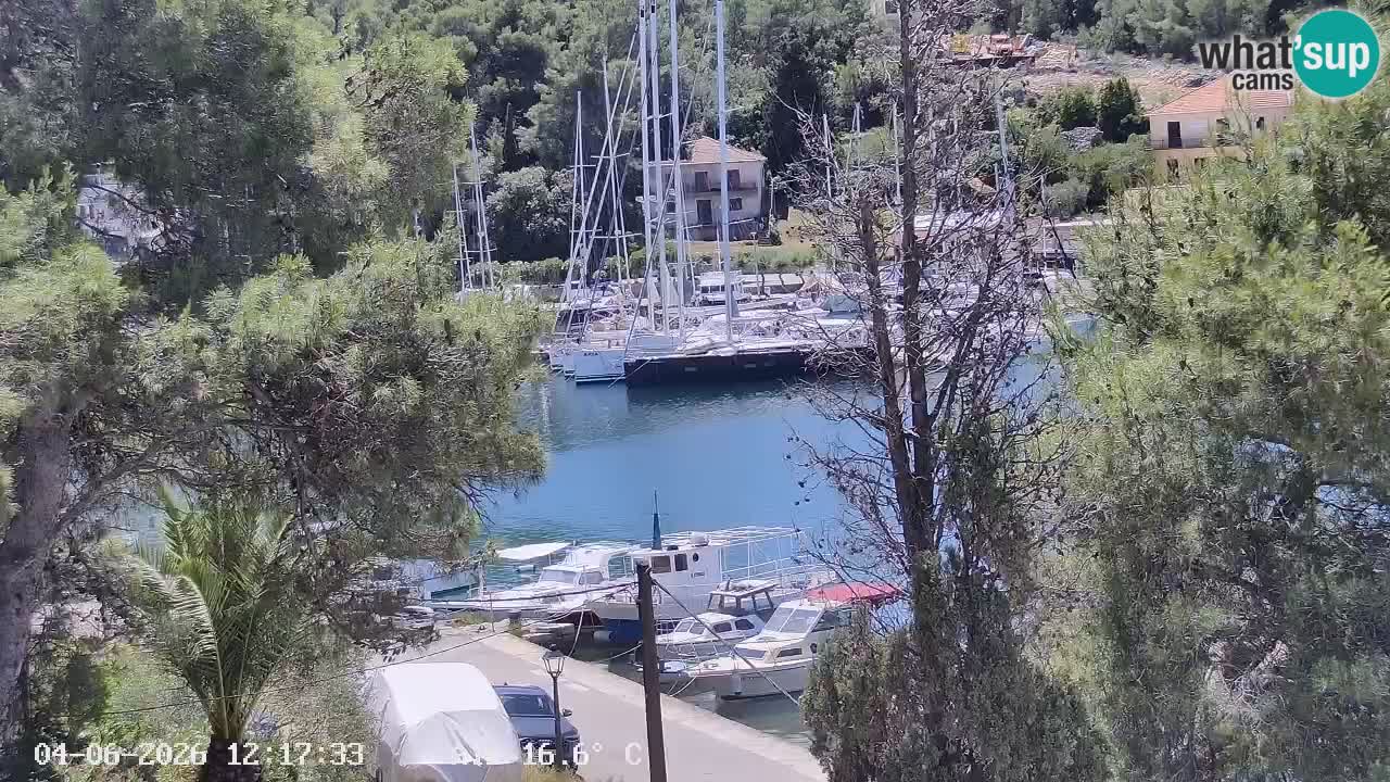 Camera Hvar Vrboska marina | isla de Hvar | Dalmacia