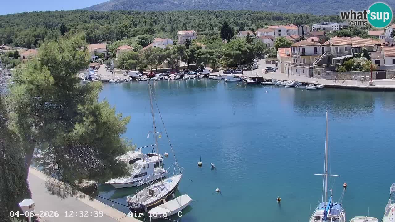 Livecam Hvar Vrboska marina | Île de Hvar | Dalmatia