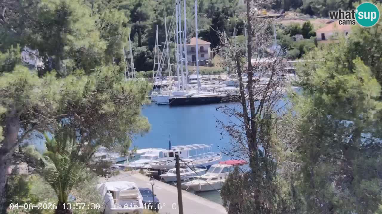 Web kamera Hvar Vrboska marina | otok Hvar | Dalmacija