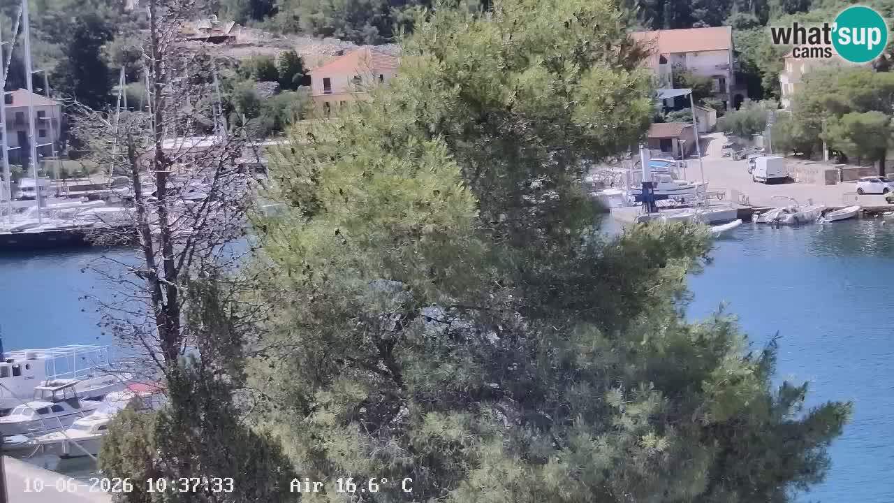 Camera Hvar Vrboska marina | isla de Hvar | Dalmacia