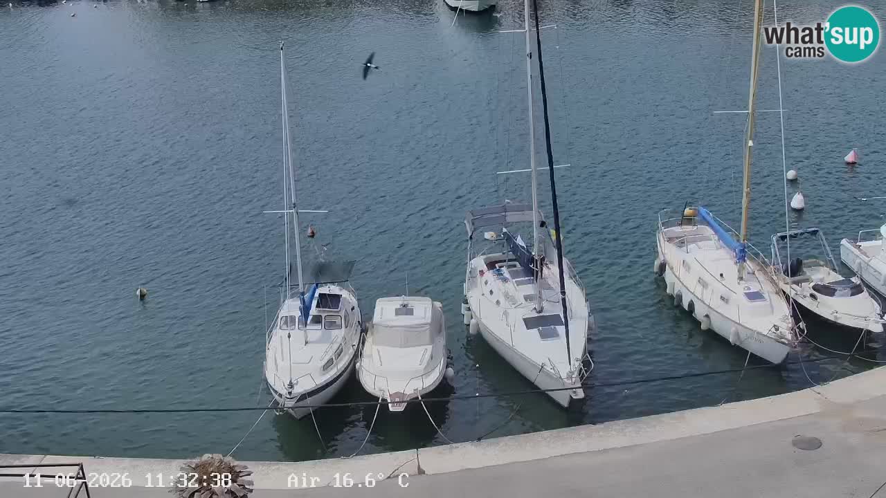 Livecam Vrboska marina | Hvar island | Dalmatia