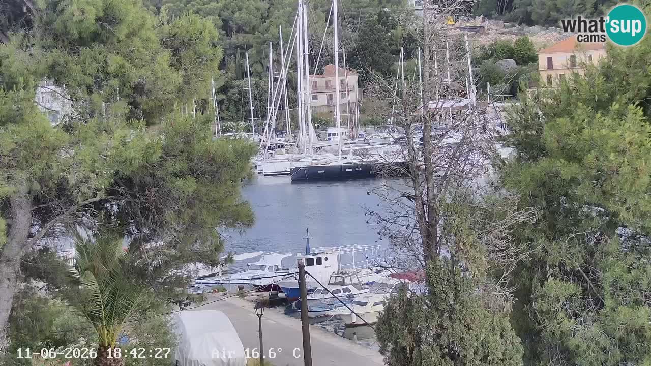 Camera Hvar Vrboska marina | isla de Hvar | Dalmacia