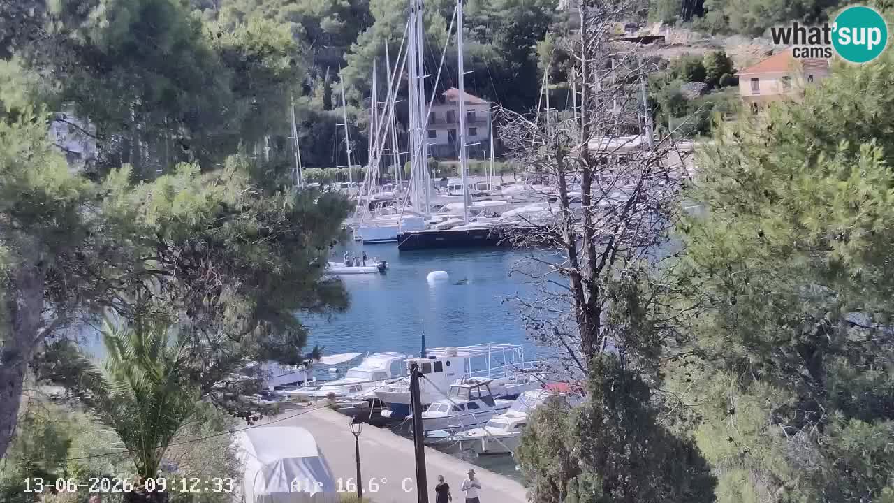 Webcam Hvar Vrboska marina | Dalmazia