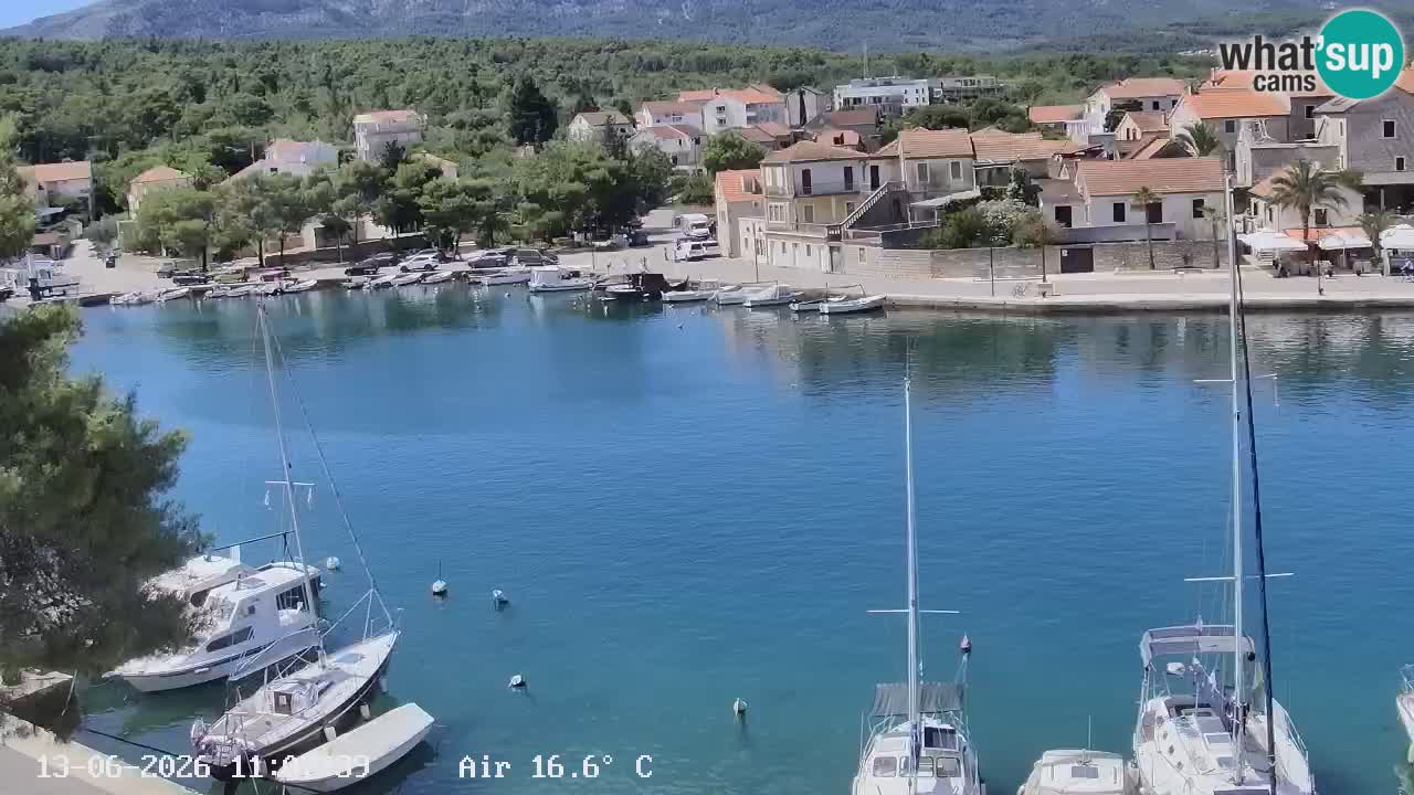 Livecam Hvar Vrboska marina | Île de Hvar | Dalmatia