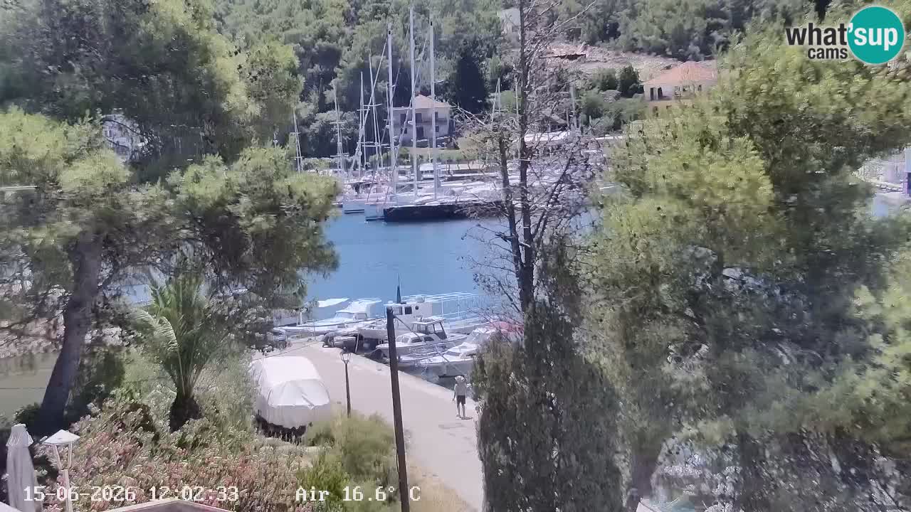 Livecam Vrboska marina | Hvar island | Dalmatia