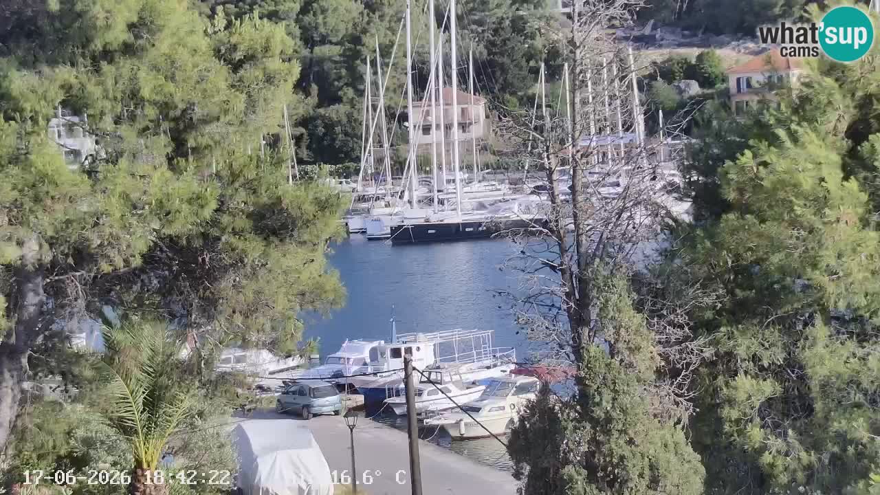 Livecam Vrboska marina | Hvar island | Dalmatia
