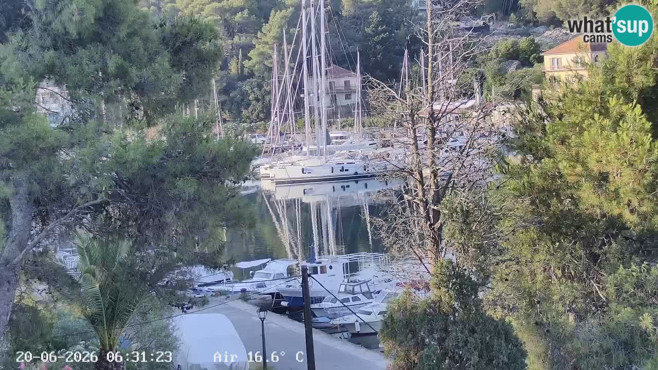 Webcam Hvar Vrboska marina | Dalmazia