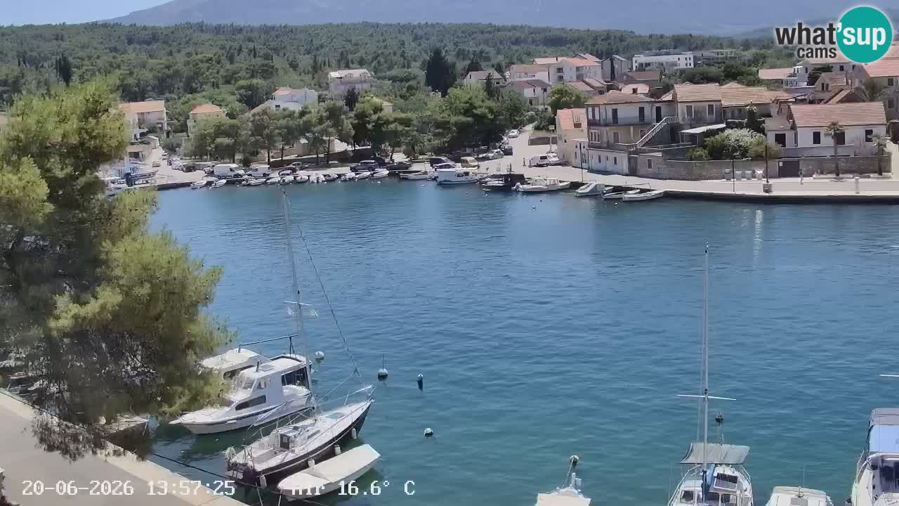 Livecam Hvar Vrboska marina | Île de Hvar | Dalmatia