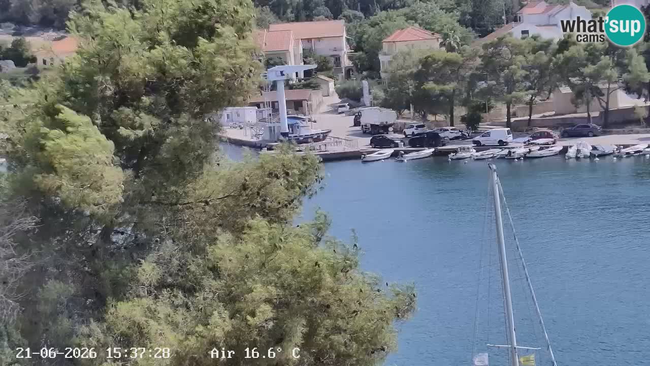 Livecam Hvar Vrboska marina | Île de Hvar | Dalmatia