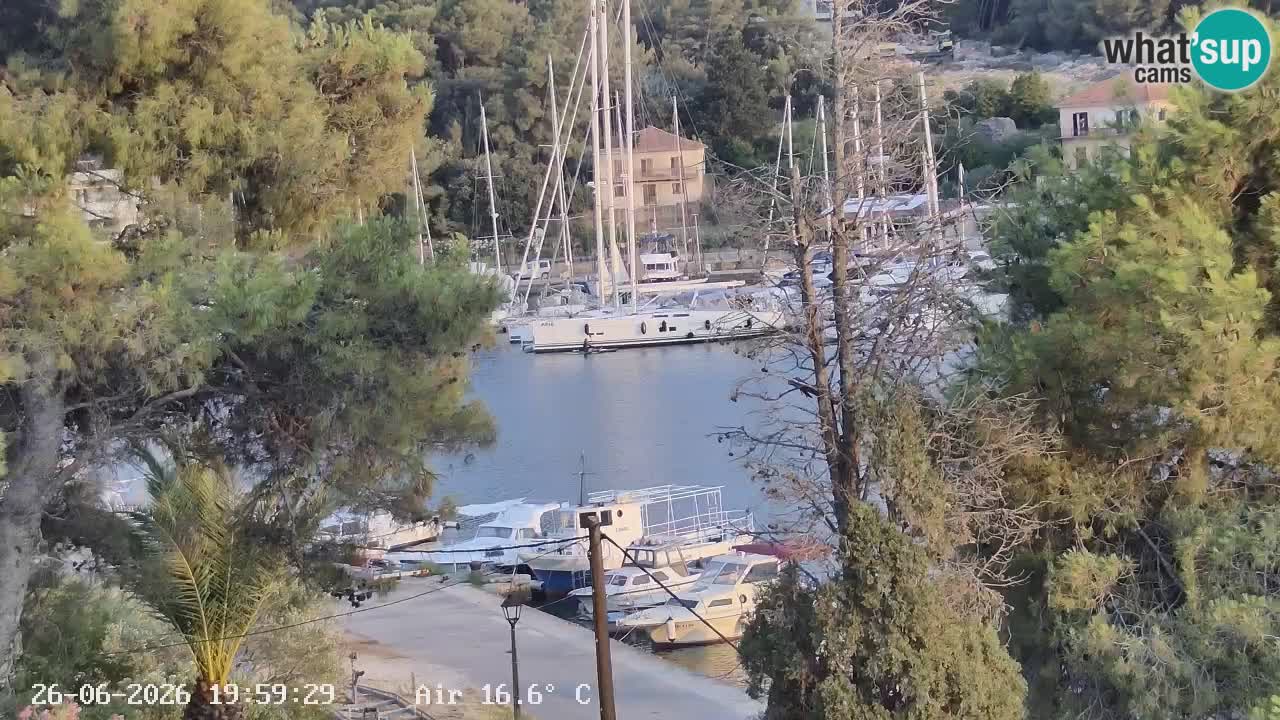 Livecam Hvar Vrboska marina | Île de Hvar | Dalmatia