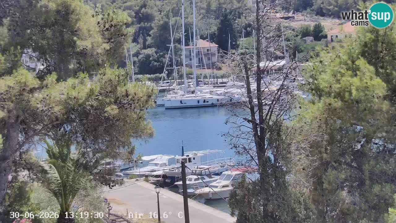 Camera Hvar Vrboska marina | isla de Hvar | Dalmacia