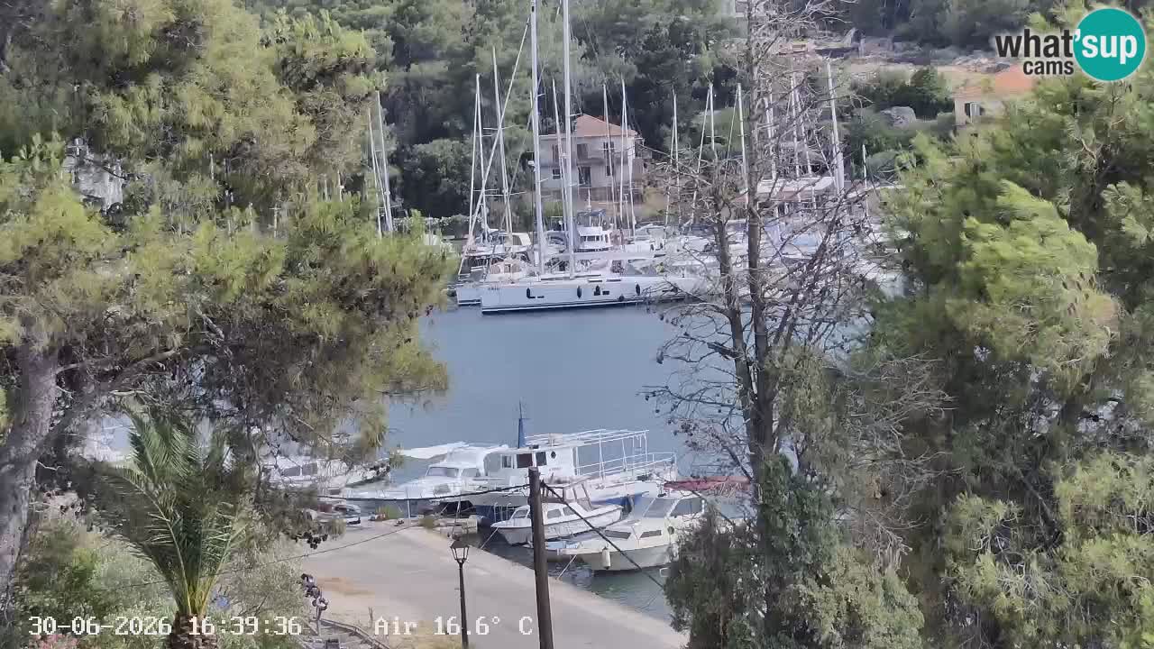 Webcam Hvar Vrboska marina | Dalmazia