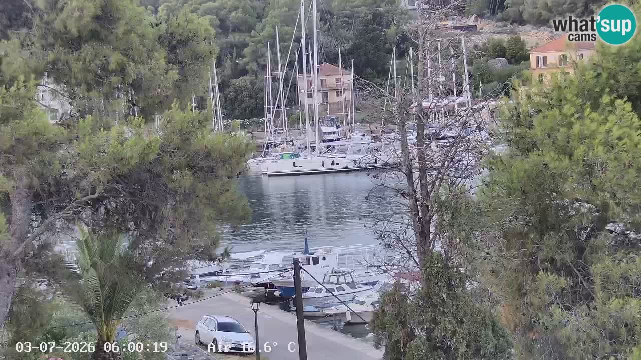 Camera Hvar Vrboska marina | isla de Hvar | Dalmacia