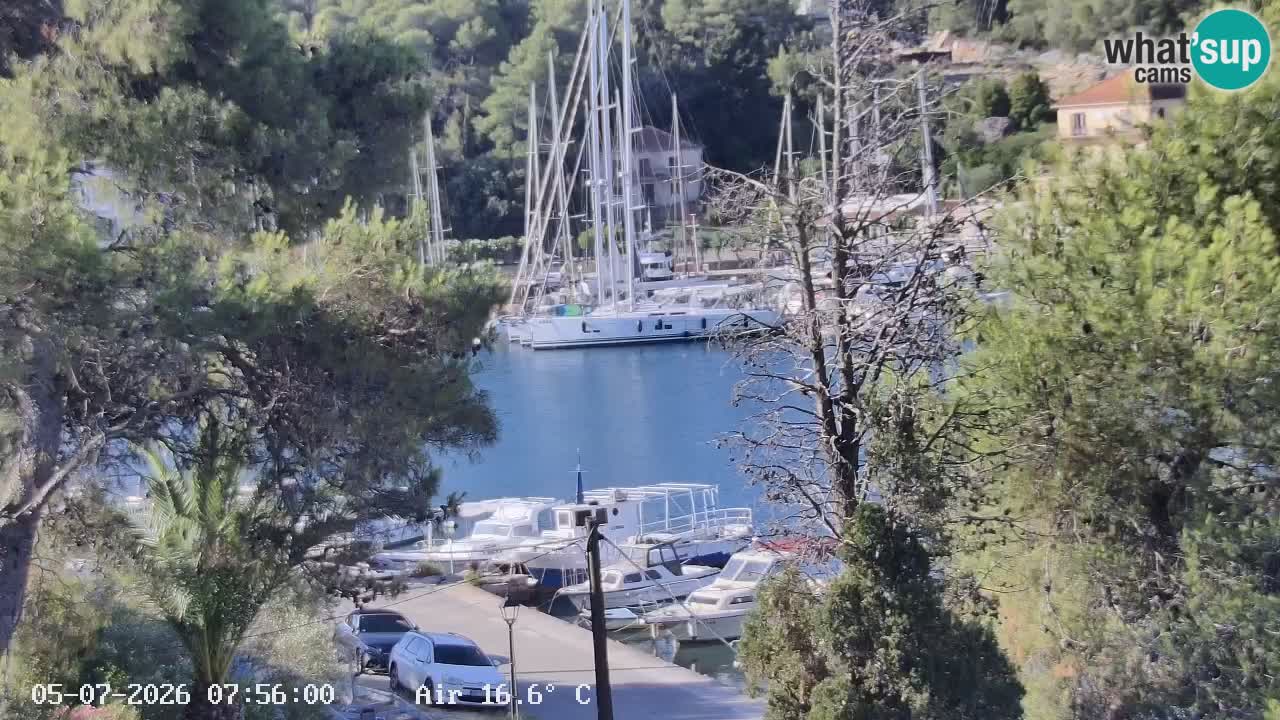 Camera Hvar Vrboska marina | isla de Hvar | Dalmacia