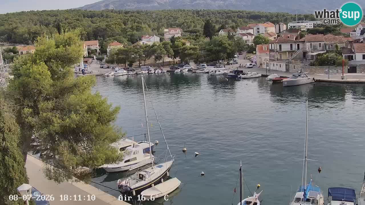 Livecam Hvar Vrboska marina | Île de Hvar | Dalmatia