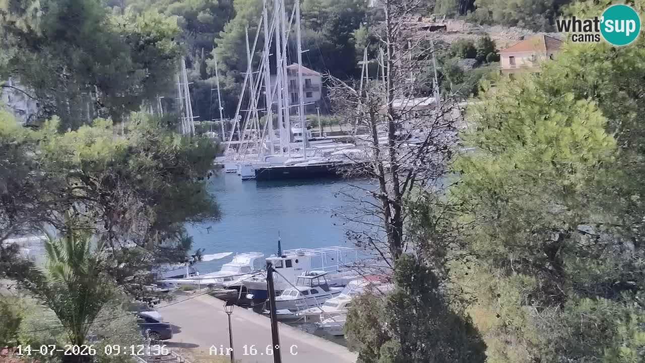 Web kamera Hvar Vrboska marina | otok Hvar | Dalmacija