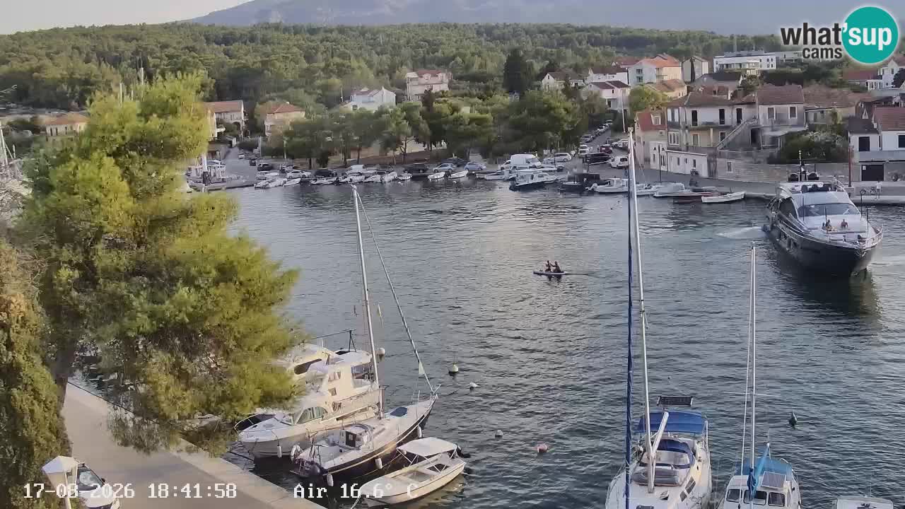 Camera Hvar Vrboska marina | isla de Hvar | Dalmacia