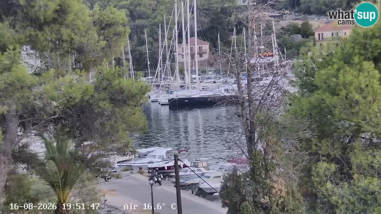 Camera Hvar Vrboska marina | isla de Hvar | Dalmacia