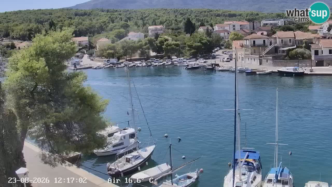 Livecam Hvar Vrboska marina | Île de Hvar | Dalmatia
