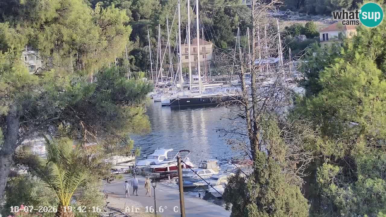 Camera Hvar Vrboska marina | isla de Hvar | Dalmacia