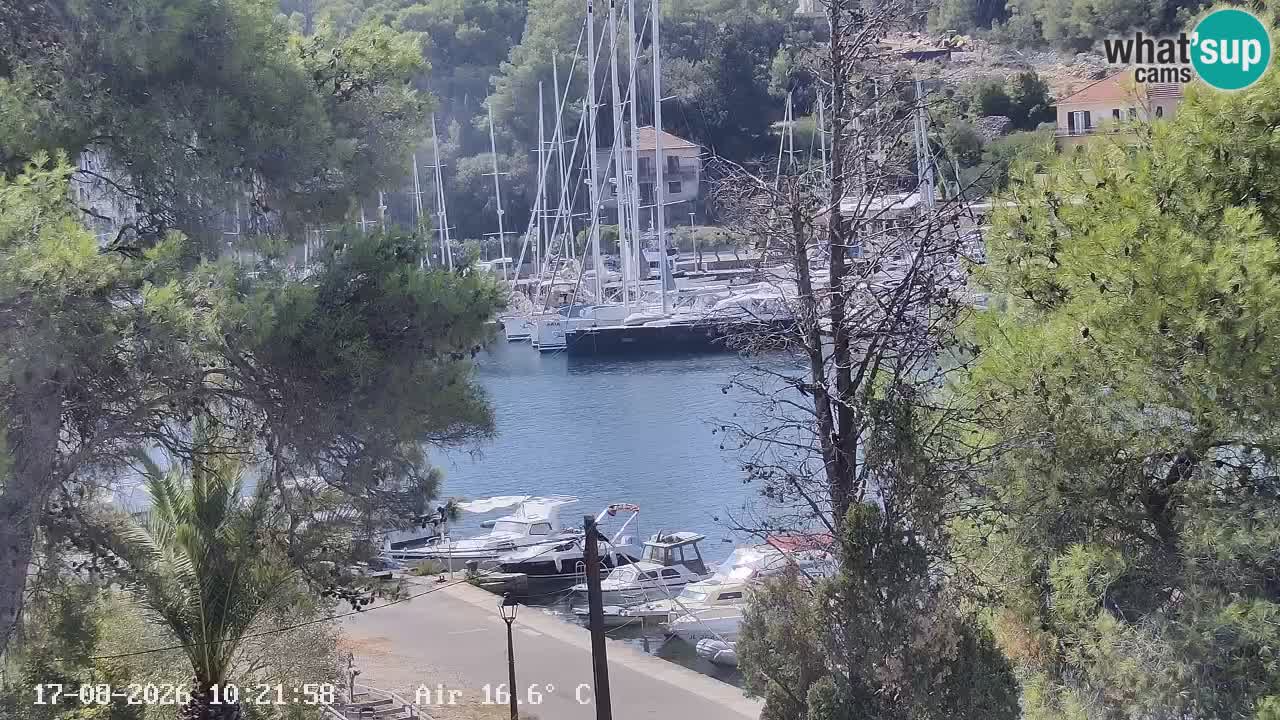 Livecam Hvar Vrboska marina | Île de Hvar | Dalmatia