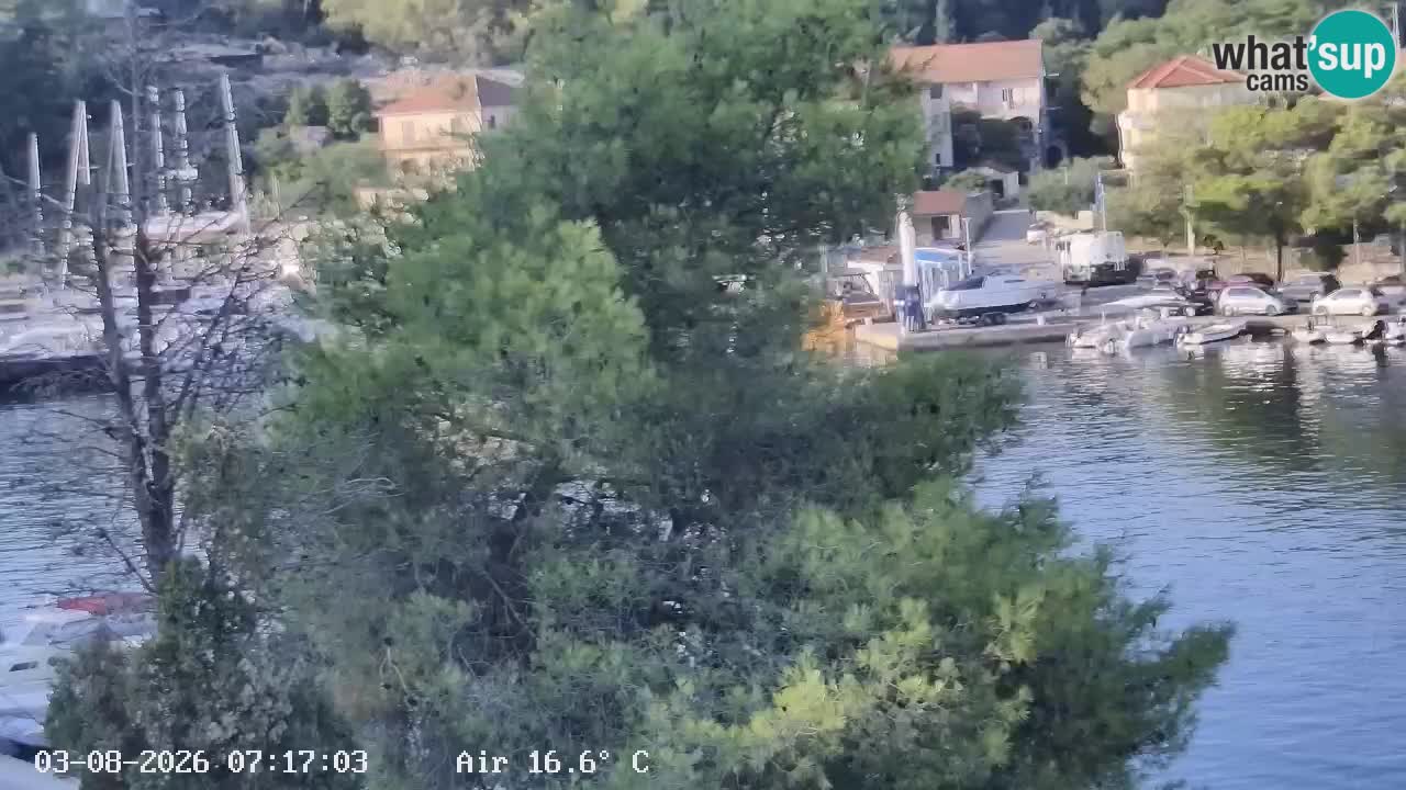 Livecam Hvar Vrboska marina | Île de Hvar | Dalmatia