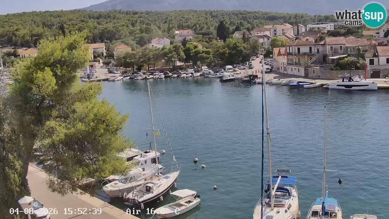 Camera Hvar Vrboska marina | isla de Hvar | Dalmacia