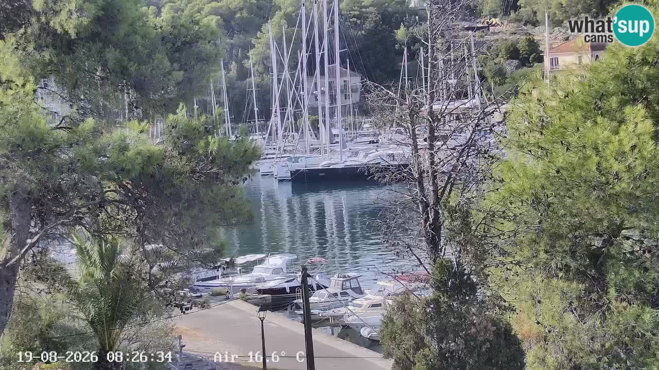Webcam Hvar Vrboska marina | Dalmazia