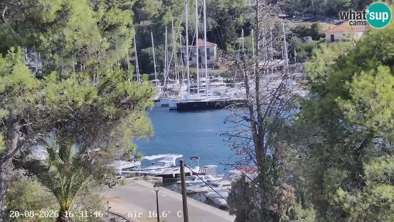 Webcam Hvar Vrboska marina | Dalmazia