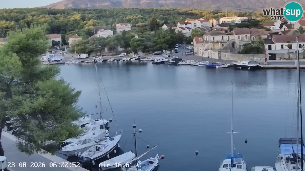 Livecam Hvar Vrboska marina | Île de Hvar | Dalmatia