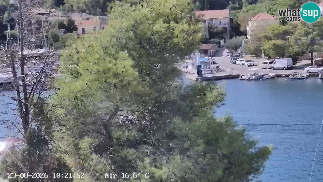 Camera Hvar Vrboska marina | isla de Hvar | Dalmacia