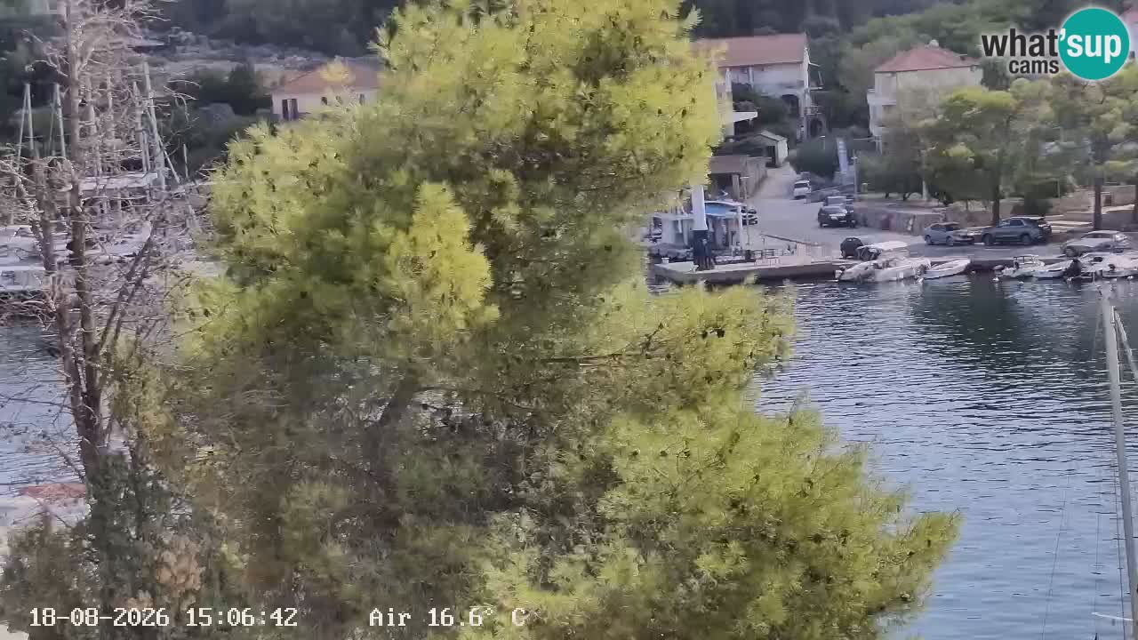 Livecam Vrboska marina | Hvar island | Dalmatia