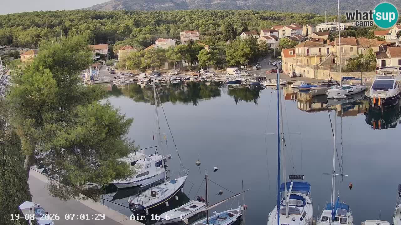 Livecam Hvar Vrboska marina | Île de Hvar | Dalmatia