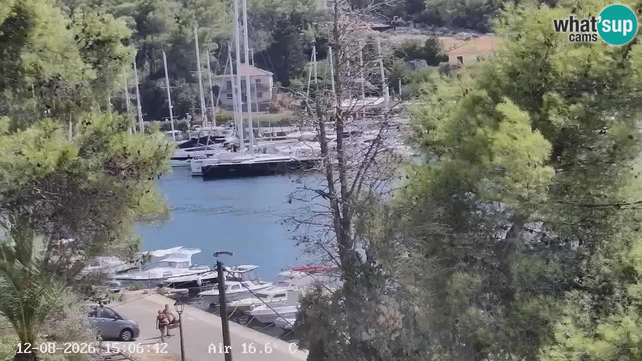 Livecam Hvar Vrboska marina | Île de Hvar | Dalmatia