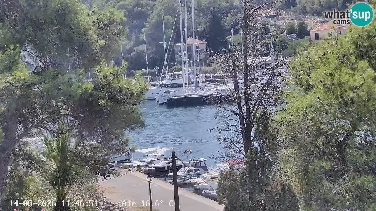 Livecam Vrboska marina | Hvar island | Dalmatia