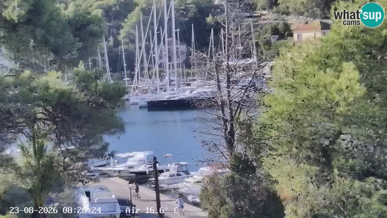 Livecam Hvar Vrboska marina | Île de Hvar | Dalmatia