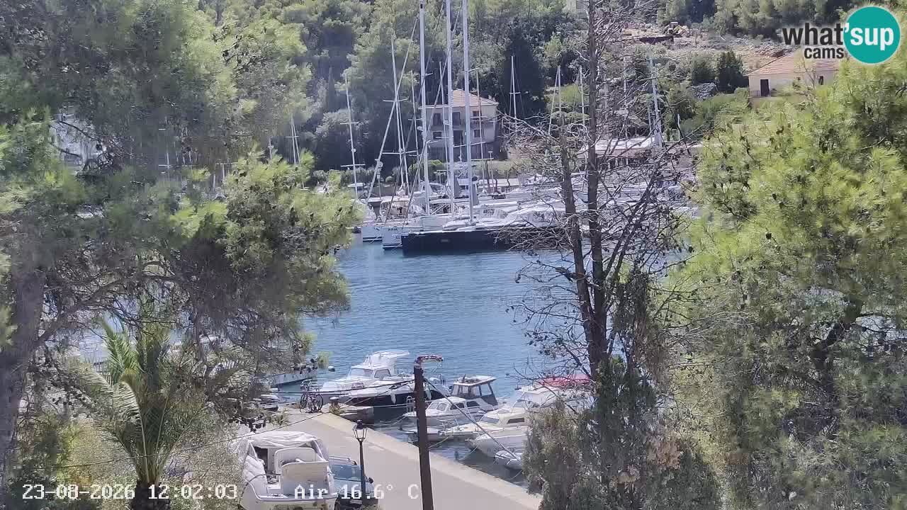 Livecam Hvar Vrboska marina | Île de Hvar | Dalmatia