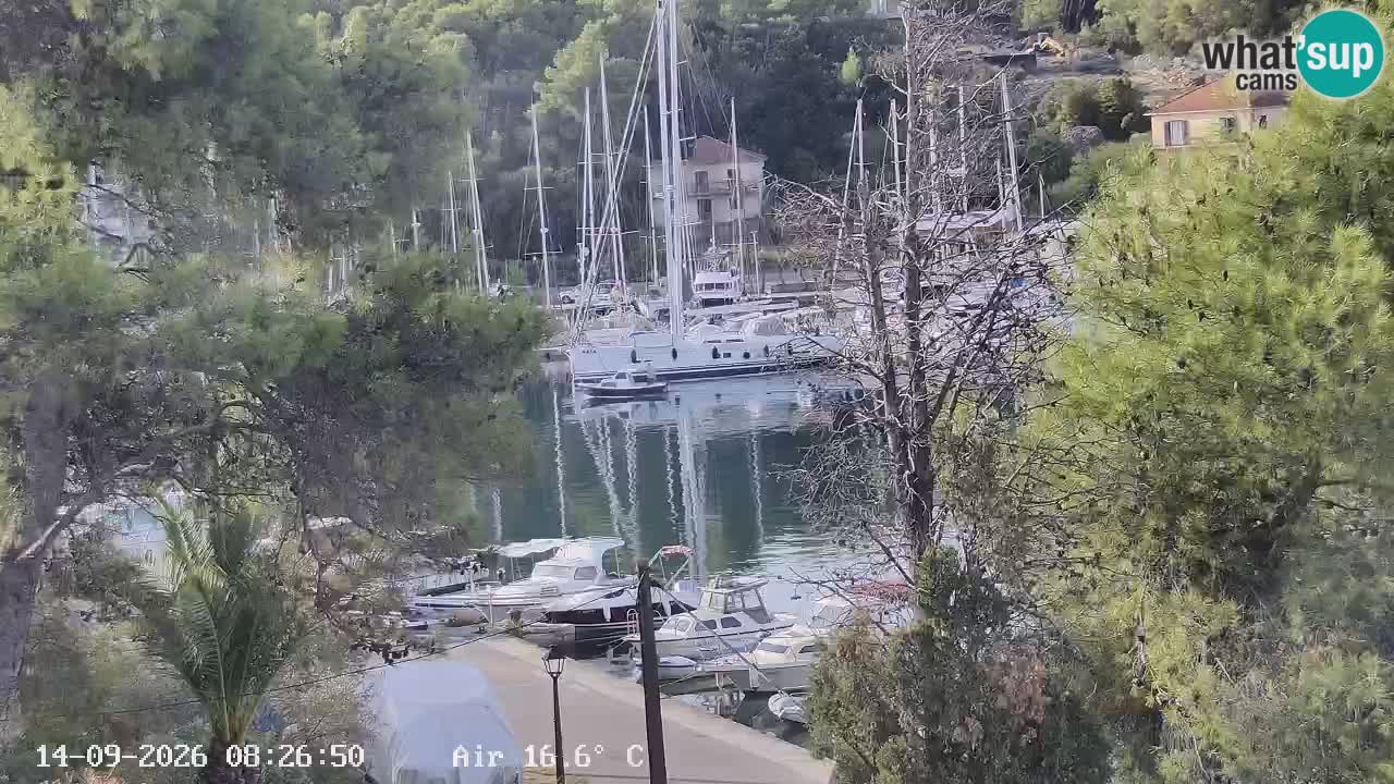 Livecam Hvar Vrboska marina | Île de Hvar | Dalmatia